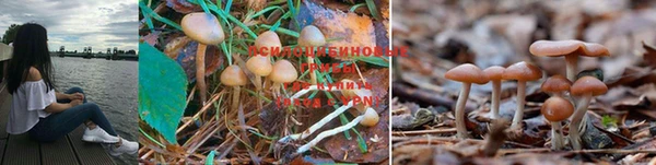 кристаллы Аркадак