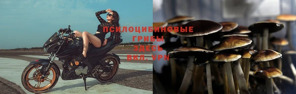 не бодяженный Арсеньев