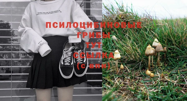 не бодяженный Арсеньев
